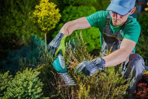 landscaping services Leakesville